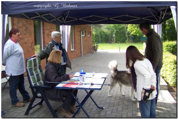 Zuchtzulassung 2010 005.JPG